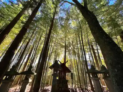 大宮熱田神社の自然