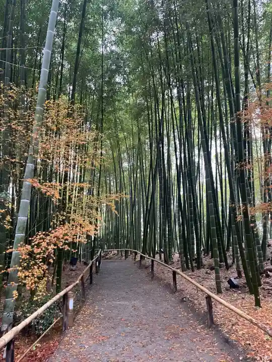 高台寺(高台寿聖禅寺・高臺寺)(京都府)