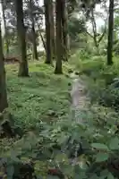 熊野神社の自然