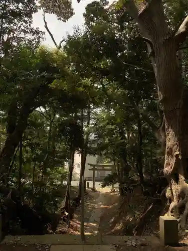 前廣神社の鳥居