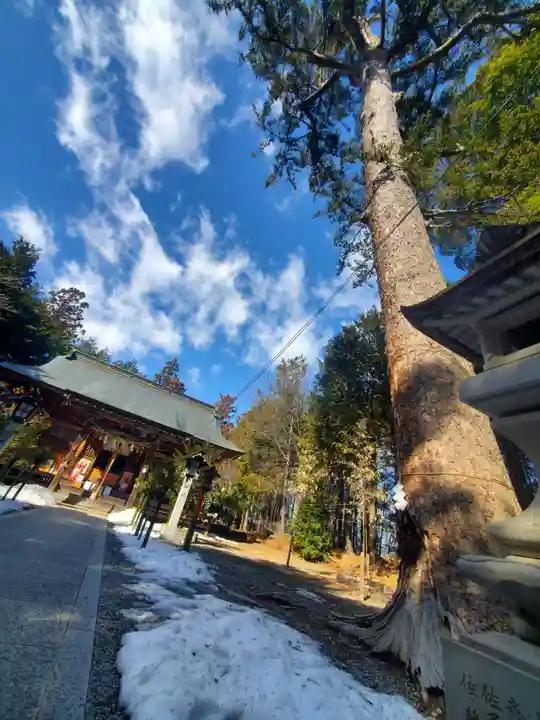 滑川神社 - 仕事と子どもの守り神(福島県)