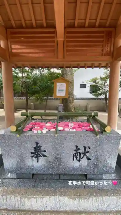 現人神社の{uncategorized: "未分類", other: "その他", undefined: "問題あり", building: "その他建物", grave: "お墓", sacred_gate: "鳥居", guardian: "狛犬", statue: "像", buddha: "仏像", history: "歴史", nature: "自然", garden: "庭園", animal: "動物", pagoda: "塔", temizu: "手水舎", mountain_gate: "山門・神門", sanctuary: "本殿・本堂", subordinate: "末社・摂社", art: "芸術", scenery: "景色", jizo: "地蔵", ema: "絵馬", goshuin: "御朱印", omikuji: "おみくじ", items: "授与品その他", amulet: "お守り", goshuincho: "御朱印帳", eats: "食事", festival: "お祭り", votive_dance: "神楽", shichigosan: "七五三参", wedding: "結婚式", experience: "体験その他", initially: "初詣", around: "周辺", anti_infection: "感染症対策"}