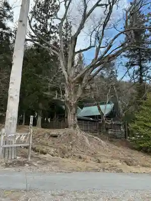 諏訪大社上社前宮(長野県)