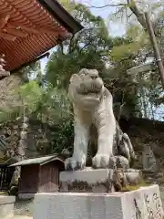 鞍馬寺の狛犬