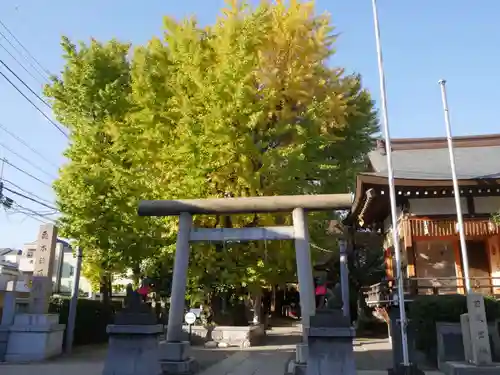 飛木稲荷神社の鳥居