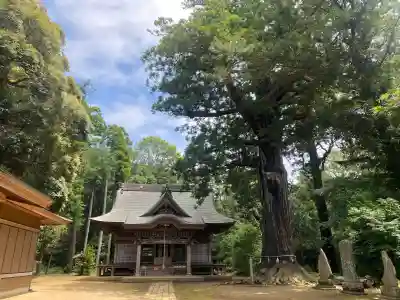 松山神社の{uncategorized: "未分類", other: "その他", undefined: "問題あり", building: "その他建物", grave: "お墓", sacred_gate: "鳥居", guardian: "狛犬", statue: "像", buddha: "仏像", history: "歴史", nature: "自然", garden: "庭園", animal: "動物", pagoda: "塔", temizu: "手水舎", mountain_gate: "山門・神門", sanctuary: "本殿・本堂", subordinate: "末社・摂社", art: "芸術", scenery: "景色", jizo: "地蔵", ema: "絵馬", goshuin: "御朱印", omikuji: "おみくじ", items: "授与品その他", amulet: "お守り", goshuincho: "御朱印帳", eats: "食事", festival: "お祭り", votive_dance: "神楽", shichigosan: "七五三参", wedding: "結婚式", experience: "体験その他", initially: "初詣", around: "周辺", anti_infection: "感染症対策"}