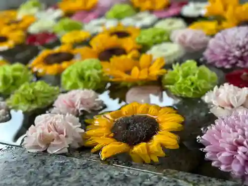 金蛇水神社(宮城県)