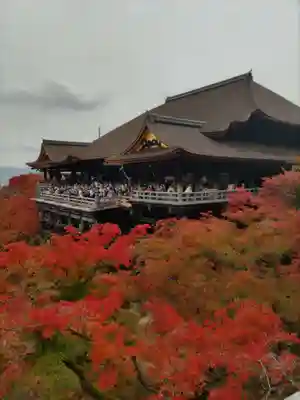 清水寺(京都府)