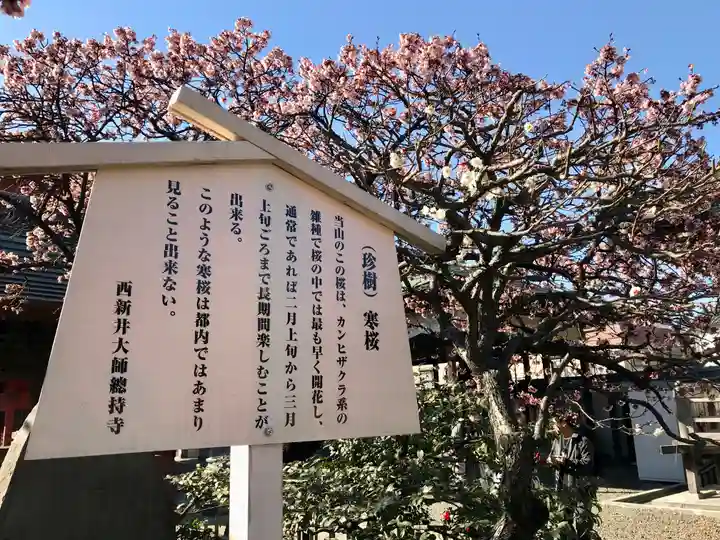 西新井大師総持寺(東京都)