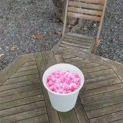 彌彦神社　(伊夜日子神社)の芸術