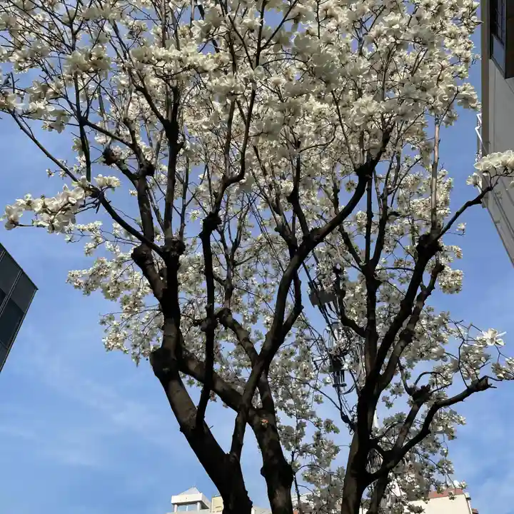 靖國神社(東京都)
