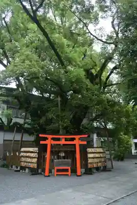 富知六所浅間神社(静岡県)