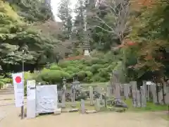 岡寺（龍蓋寺）の建物その他