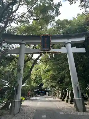 若宮八幡宮(高知県)