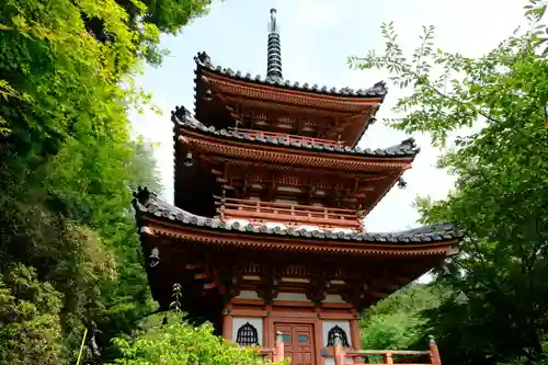 三室戸寺の塔