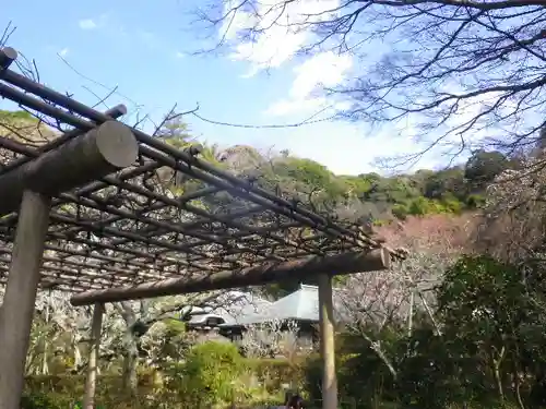 瑞泉寺の庭園