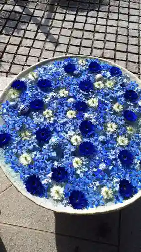 行田八幡神社の手水