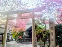 蔵前神社の{uncategorized: "未分類", other: "その他", undefined: "問題あり", building: "その他建物", grave: "お墓", sacred_gate: "鳥居", guardian: "狛犬", statue: "像", buddha: "仏像", history: "歴史", nature: "自然", garden: "庭園", animal: "動物", pagoda: "塔", temizu: "手水舎", mountain_gate: "山門・神門", sanctuary: "本殿・本堂", subordinate: "末社・摂社", art: "芸術", scenery: "景色", jizo: "地蔵", ema: "絵馬", goshuin: "御朱印", omikuji: "おみくじ", items: "授与品その他", amulet: "お守り", goshuincho: "御朱印帳", eats: "食事", festival: "お祭り", votive_dance: "神楽", shichigosan: "七五三参", wedding: "結婚式", experience: "体験その他", initially: "初詣", around: "周辺", anti_infection: "感染症対策"}