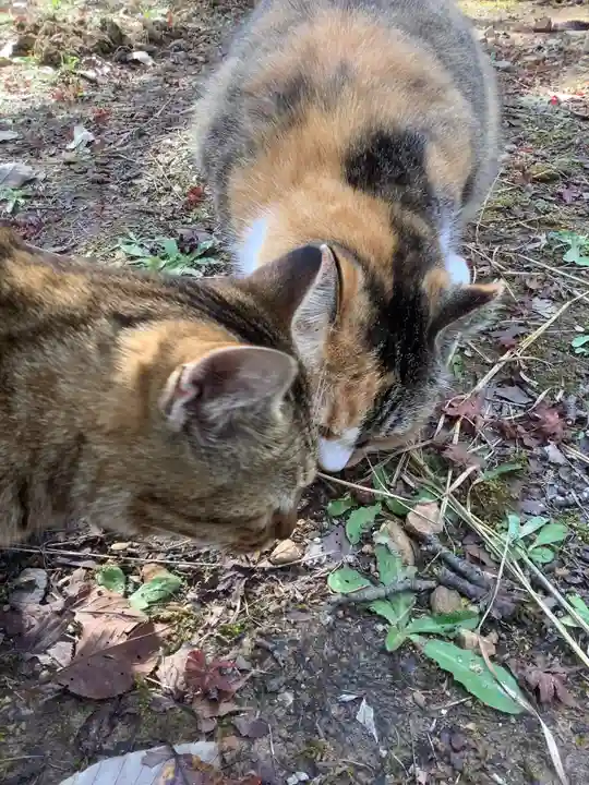 玉野御嶽神社の動物