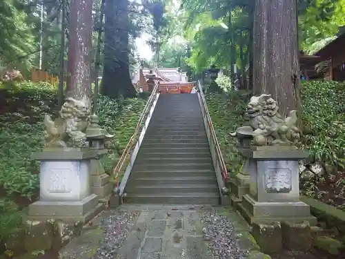 須山浅間神社の狛犬