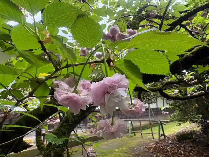 瑞龍寺(富山県)
