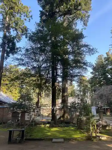 小御門神社(千葉県)