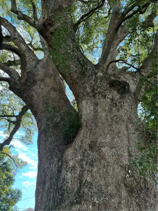 伊勢神明社(静岡県)