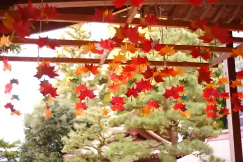 越中一宮 髙瀬神社(富山県)