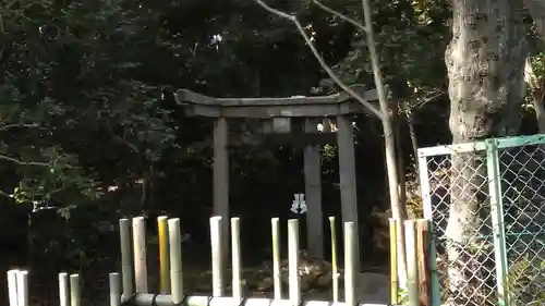 木嶋坐天照御魂神社(京都府)