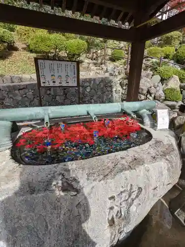 岡寺（龍蓋寺）(奈良県)