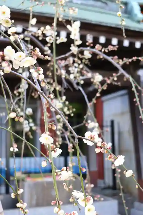 宗隆寺(神奈川県)