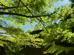 滑川神社 - 仕事と子どもの守り神(福島県)