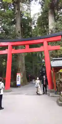 箱根神社(神奈川県)