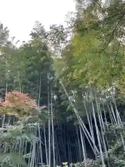 明月院(神奈川県)