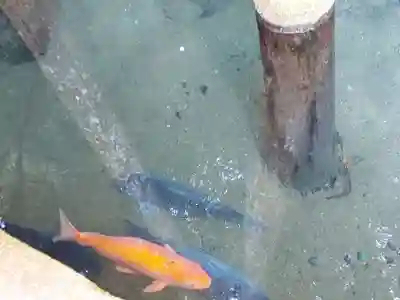 鹿島神宮(茨城県)