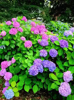 稲荷神社(愛知県)