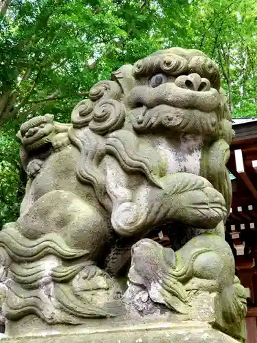 熊野福藏神社の狛犬