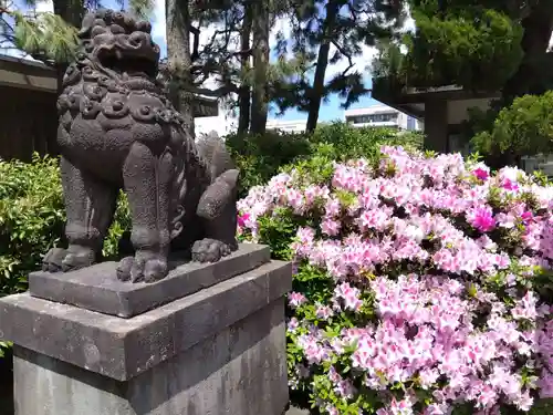 福井神社(福井県)