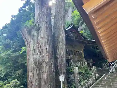 榛名神社(群馬県)