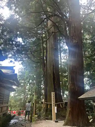 鷲子山上神社(栃木県)