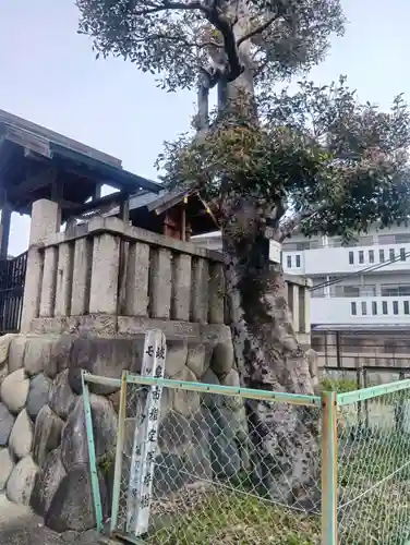 北野神社(岐阜県)