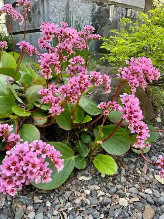 満福寺(福島県)