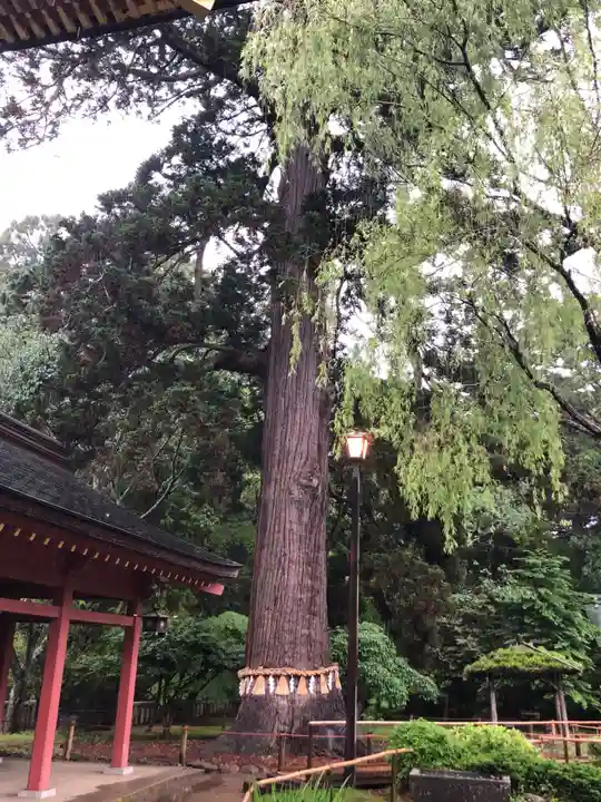 志波彦神社・鹽竈神社(宮城県)