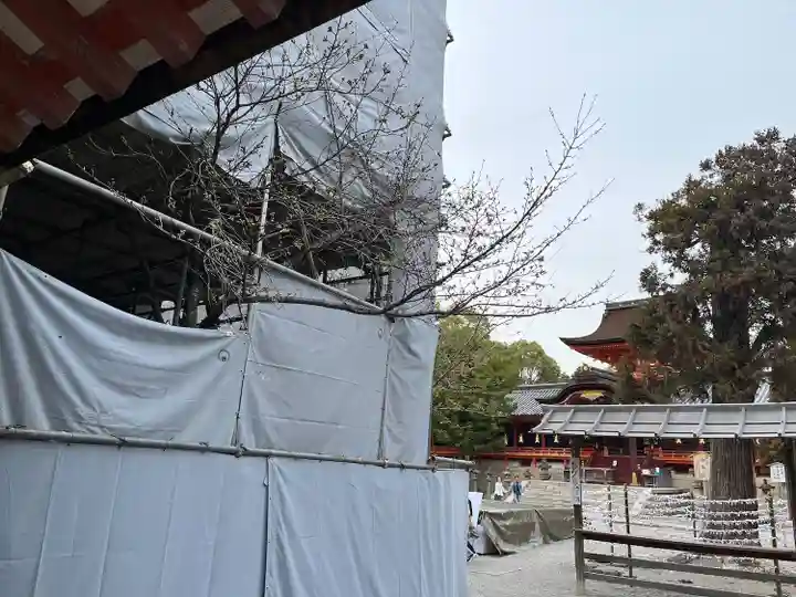 石清水八幡宮(京都府)
