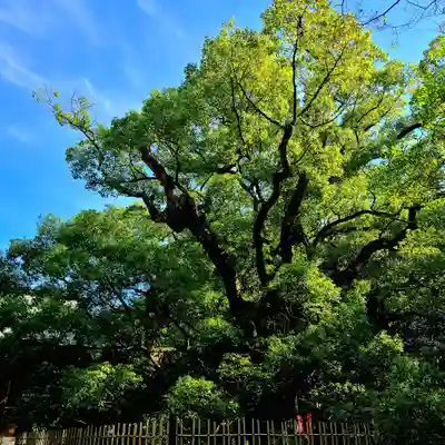 浜松八幡宮(静岡県)