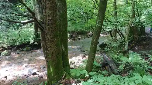 達沢不動滝の周辺