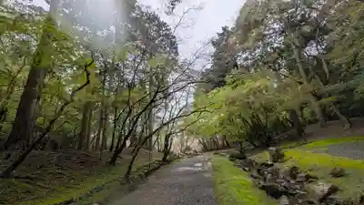 醍醐寺(京都府)