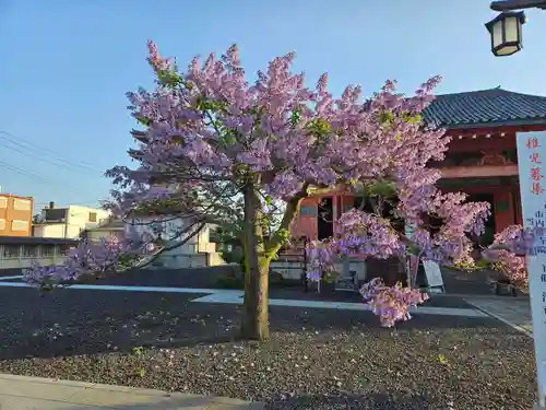 津観音(三重県)