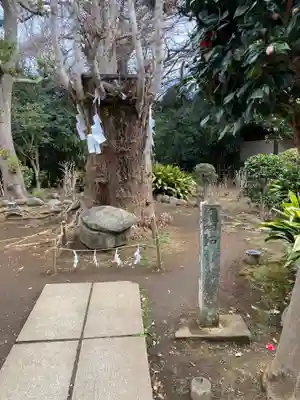 江島神社(神奈川県)