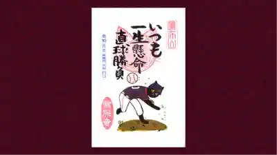 常保寺の御朱印